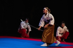 9й фестиваль боевых искусств Содружество